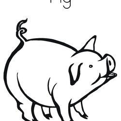 Great Pig Coloring Page Twisty Noodle Built California