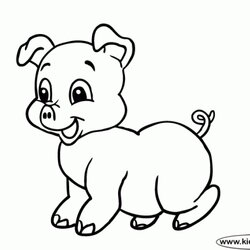 Eminent Free Printable Pig Coloring Pages Cute Pigs Drawing Baby Animals Drawings