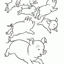 Supreme Free Printable Pig Coloring Pages Baby