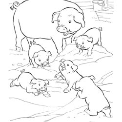 Free Printable Pig Coloring Pages For Kids Pigs Farm Mud Animal Baby Color Animals Play Colouring Little