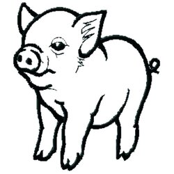 Worthy Coloring Pages Of Baby Pigs Walls Cute