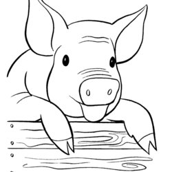 Superior Free Printable Pig Coloring Pages For Kids Farm Animal Books Sheets Cute Cartoon Print Color