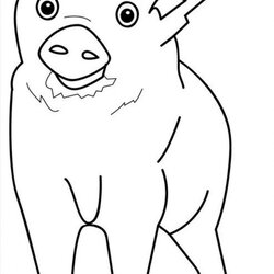 Coloring Pages Of Pig Photos Animal Place