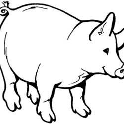 Funny Creature Pig Coloring Pages For Kids Print Color Craft Animals Colouring Printable Pigs Farm Animal Pot