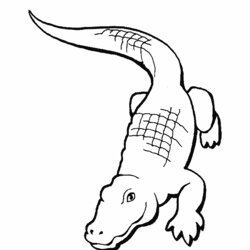 Free Printable Alligator Coloring Pages For Kids Animals Color Print Animal Reptiles Drawing Cartoon