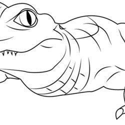 Cool Alligator Coloring Page Free Pages Biting