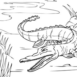 Perfect Free Printable Alligator Coloring Pages For Kids River Nile Color Sheet Print Cute Page Photo