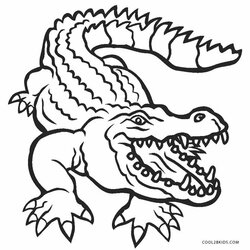 Excellent Free Printable Alligator Coloring Pages For Kids Florida Drawing Gators Gator