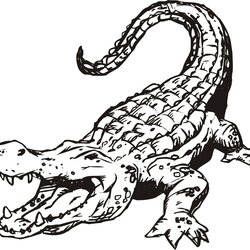 Out Of This World Free Printable Alligator Coloring Pages For Kids Image