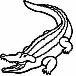 Wonderful Alligator Animals Free Printable Coloring Pages Drawing Easy Kids Drawings Animal