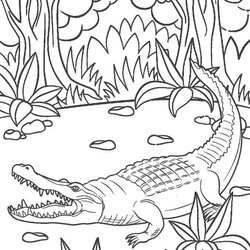 Smashing Free Printable Alligator Coloring Pages For Kids Baby Print Color