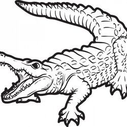 Great Get This Free Alligator Coloring Pages For Kids Print