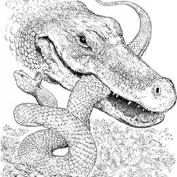 Tremendous Get This Free Simple Alligator Coloring Pages For Children Crocodile Printable Snake Kids Animals