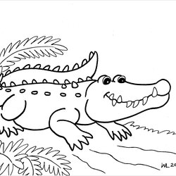 Wizard Alligator Coloring Pages Cute Page