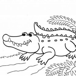 Legit Get This Printable Alligator Coloring Pages For Kids Crocodile Drawing American Print Reptiles Color