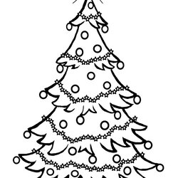 Terrific Christmas Tree Coloring Pages For Printable Free Para Holidays Stamps