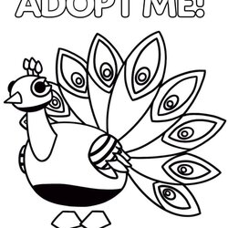 Peacock Adopt Me Coloring Page Free Printable Pages For Kids
