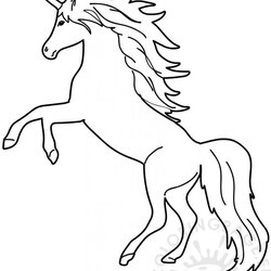 Super Unicorn Coloring Pages For Kids Page
