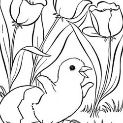 Fine Spring Coloring Pages For Kids At Free Download