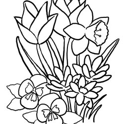 Magnificent Coloring Pages Spring Flowers Easy Printable Color Kids Springtime Flower Children Flores Leaves
