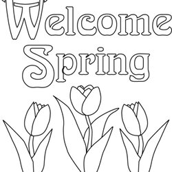 Terrific Free Printable Spring Coloring Pages Kindergarten Download