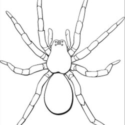 Smashing Free Spider Coloring Pages Printable Download Iron Spiders Medium Size Drone Kids Print Color