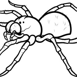 Legit Spider Coloring Pages To Download And Print For Free Drawing Printable Outline Drawings Spiders Kids