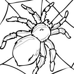 High Quality Free Printable Spider Coloring Pages For Kids Color Sheets