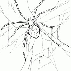 Wonderful Free Printable Spider Coloring Pages For Kids Spiders Color Spin Tail Jumping Trapdoor Template