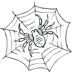 Preeminent Spider Coloring Pages To Download And Print For Free