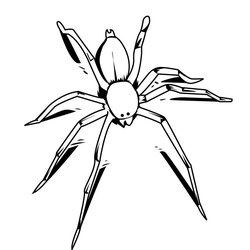 Spiffing Free Printable Spider Coloring Pages For Kids Spiders Color Insect Halloween Drawings