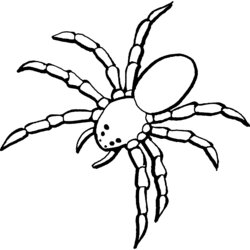 Admirable Free Printable Spider Coloring Pages For Kids Simple Drawing Sheet
