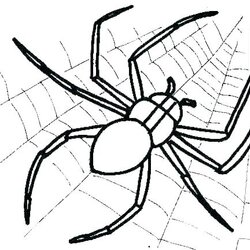 Terrific Spider Coloring Pages To Print At Free Printable Halloween Spiders Color