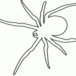 The Highest Quality Free Coloring Page Of Spider Download Pages Halloween Scary Printable Spiders Kids