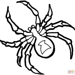 Spider Coloring Pages To Download And Print For Free