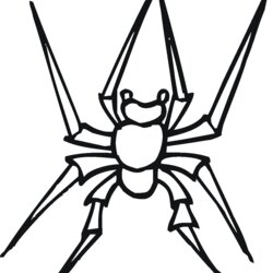 Cool Free Printable Spider Coloring Pages For Kids Widow Wolf Spiders Drawing Little Bus Images Of