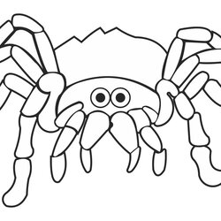 The Highest Standard Best Printable Halloween Spider Coloring Pages For Free At