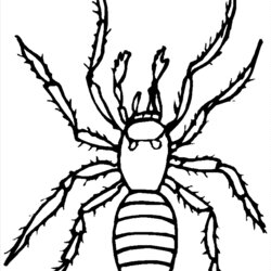 Wizard Spider Coloring Pages To Download And Print For Free