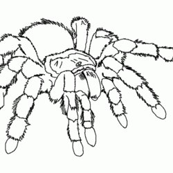 Eminent Free Spider Coloring Pages Printable Download Tarantula Kids Scary Giant Color Bugs Sheet Print