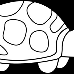 High Quality Cute Turtle Coloring Page Free Clip Art Line