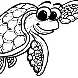 Fantastic Cute Sea Turtle Drawing Free Download On Coloring Pages Shell Color Baby Turtles Printable Head