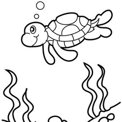 Admirable Cute Baby Turtle Coloring Pages Migrate