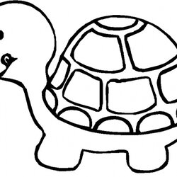 Get This Turtle Coloring Pages To Print For Kids