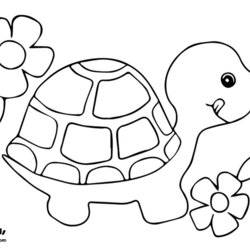 Brilliant Cute Little Turtle Coloring Page Free Download And Printable