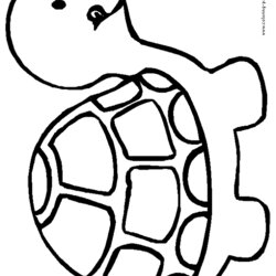Excellent Cartoon Turtle Coloring Pages Template Color Print Easy Printable Kids Cute Animal Simple Colouring