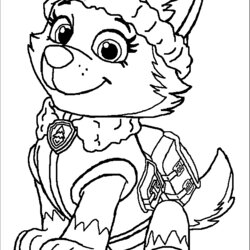 Fantastic Paw Patrol Coloring Pages Best For Kids Print