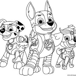 Legit Pin By Silva Cristina On Paw Patrol Coloring Pat Pups Marcus Colouring Skye Ryder Everest Print