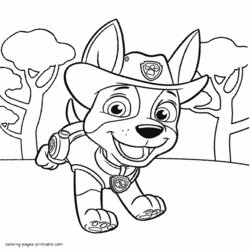 Brilliant Printable Coloring Pages Paw Patrol Tracker