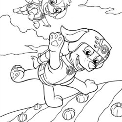 Splendid Paw Patrol Coloring Pages Print And Color