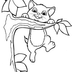 Tremendous Free Printable Kitten Coloring Pages Kitty Sheets Playful Print Page